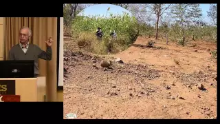 Examples of Grassland Restoration - Excerpt from Talk by Allan Savory at Tufts University