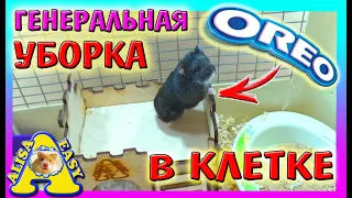 МЕСЯЦ НЕ УБИРАЛА у хомяка / ГЕНЕРАЛЬНАЯ УБОРКА У ХОМЯКА ОРЕО  / ХОМКИ КУСАЕТСЯ / Alisa Easy Pets