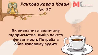 Як визначити величину підприємства. Вибір пакету фінзвітності. Потреба в обов’язковому аудиті