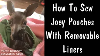 How To Sew Joey Pouches (With Removable Liners)