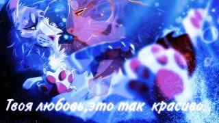 Коты - Воители|Твоя любовь,это так красиво|Warriors Cats|Your Love is so beautiful| #animation