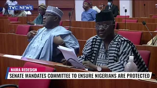 Senate Mandates Committee To Ensure Nigerians Are Protected