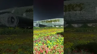 Dubai miracle garden 2023 / 2024