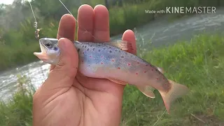 Кара-Куль рыбалка 2018 "Капчыгай"