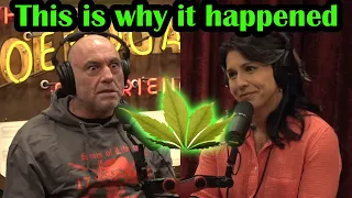 Joe Rogan & Tulsi G | Joe explains Why This Became Illegal