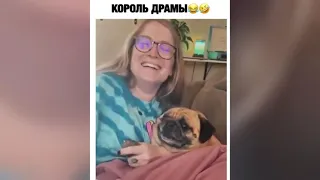 Лучшие видео подборки видео приколы 2021 Смешные моменты COUB / Best RUSSIA Videos #43 Видео Tik Tok