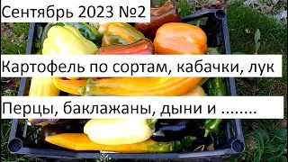 Сентябрь 2023 №2 Урожай в природном земледелии.
