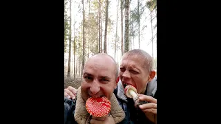 ГРИБЫ ЕСТЬ!?🍄 Жесть - ОБЪЕЛСЯ МУХОМОРОВ 🍄