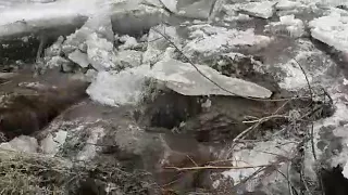 Лёд тронулся, спасайте мост (Полная версия)