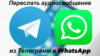 Как переслать аудиосообщение из Телеграмм в WhatsApp