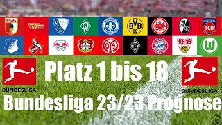 BUNDESLIGA PROGNOSE ZUR SAISON 2023/24🔥| Wer wird Meister, wer steigt ab?🤔