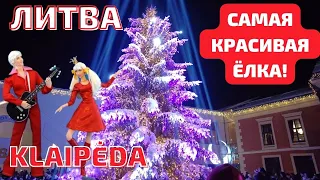 В Klaipėda "зажгли" самую красивую настоящую ёлку. Литва