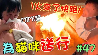 『為貓咪送行』火來了趕快跑！MiMi醬 Cat Story#47