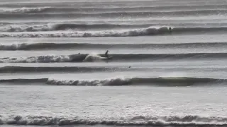 Swellmagnet.com - Chicama, Peru Surf Line Up - The longest wave in the world!