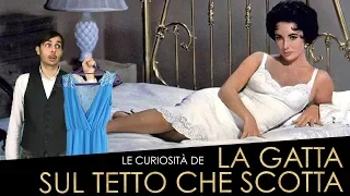 La Gatta sul Tetto che Scotta - scene cult