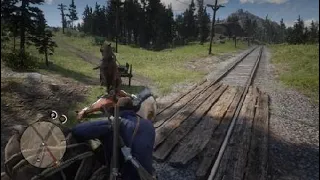 Red Dead Redemption 2 horse cpr