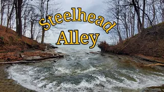 Lake Erie's "Steelhead Alley" | Steelhead Fishing |