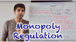 Y2 28) Competition Policy - Monopoly Regulation