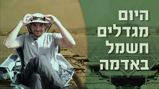 דולב שמש הופך שדות של תפוחי אדמה ואבטיחים לשדות סולאריים | עושים ירוק