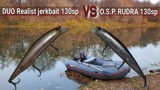 DUO Realis jerkbait 130 sp против O.S.P. Rudra 130sp. Воблерная заруба.