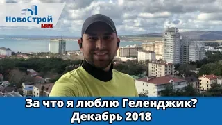 За что я люблю Геленджик? || Декабрь 2018