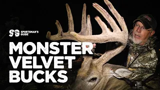 Early Season Velvet Bucks | Monster Buck Moments Presented by Sportsman's Guide