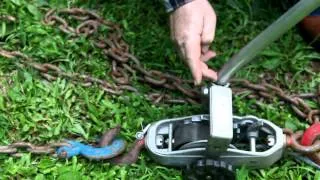 Pulling the Tree Down with Chain and Winch