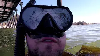 2018 SoCal Lobster Diving