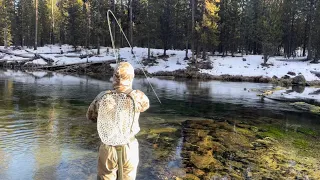 Central Oregon Fly Fishing