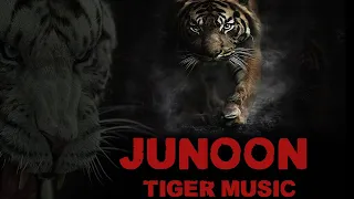 Tiger Attack [ Junoon Forest Tiger Music ]