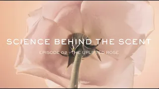 The New Idôle Now | Episode 02: The Uplifted Rose | By Lancôme