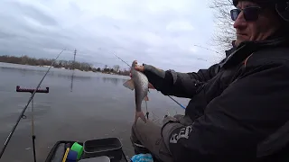 🌿Десна. Плітка - наша улюблена рибка🐟 Рибалимо в 3-х на одному місці...