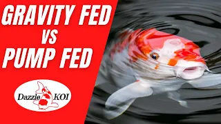 Koi Pond Filters - Gravity fed vs Pump fed [which is best?]
