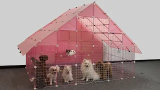 How to make amazing house for Pomeranian Poodle puppies & Munchkin kitten