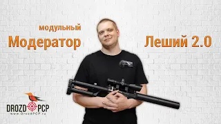 Модульный модератор D50. Леший 2