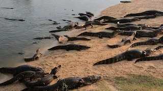 FUI PESCAR EM UM LUGAR DIFERENTE (#pescaria   Rio Paraguai, #culinária  de pesca pessoas e Blogs)