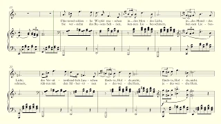 Ständchen - Schubert - accompaniment D minor - Ständchen accompaniment D minor