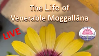 The Life of Venerable Moggallāna - Amida Class  - May 5 @ 10am