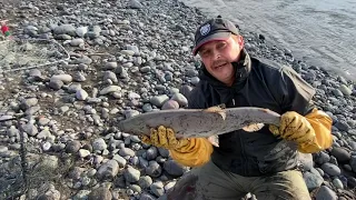 Рыбалка на Аляске ловля ЛОСОСЯ река ( CHITINA)