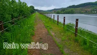 [rain walk] Quiet Lake Dulle-gil on a rainy day 🎄 Walking alone 🎄 asmr ✨ Drowning in memories