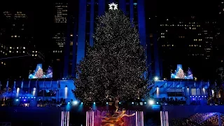 240 Miles and 50,000 Lights: The Rockefeller Center Tree