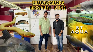 Unboxing!!! Rare Exotic Fishes | Monster Predictor Aquarium Fish | Coimbatore BT Aqua