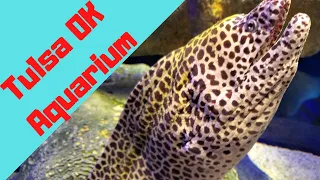 Vlog 168 Tulsa Aquarium (Jenks Oklahoma) | Vlog 4 of 7 from Trip