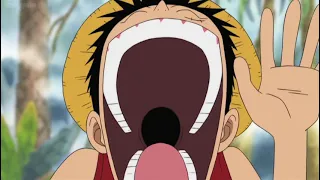 LUFFY laugh TO ZORO NAMI and VIVI