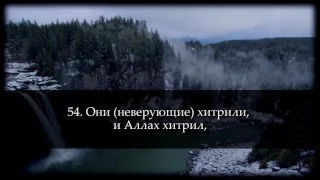 Саид Дубаха. Сура "Али Имран" (33-66)