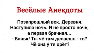 Первая Брачная Ночь в Старые Времена! Сборник Смешных Анекдотов! Юмор!