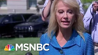 Joe: Kellyanne Conway Would've Been Fired On Spot By Other Administrations | Morning Joe | MSNBC