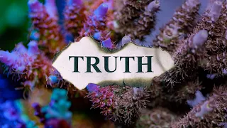 Truth about high-end Acropora & beginner buying advice