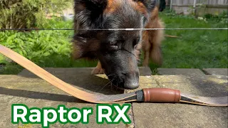 Simon's Bow Company Raptor RX Teaser Review