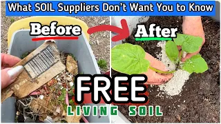 How to Fill a Raised Bed SAVE MONEY & Refresh Garden SOIL to Plant Vegetables in Container Gardening